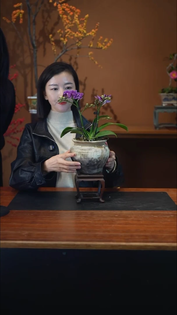 全部花朵蝴蝶兰陶瓷