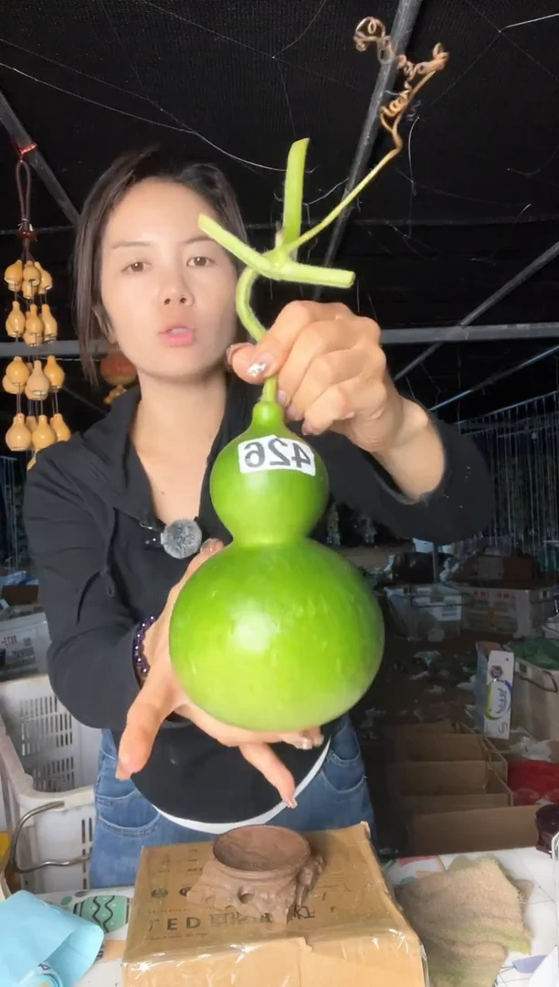 426天然葫芦摆件 一物一拍龙头不保售后