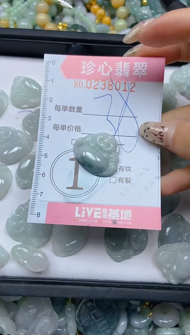 翡翠未镶嵌颈饰闪购0238012