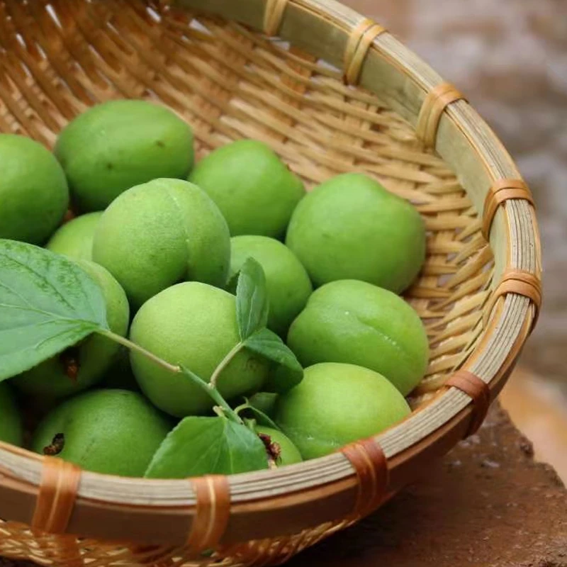 正宗云南青梅酸梅子泡青梅酒梅露汁专用新鲜青梅果现摘脆梅鲜果