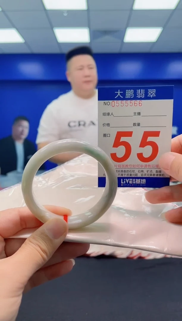 未镶嵌手镯翡翠AAAAAAAAA