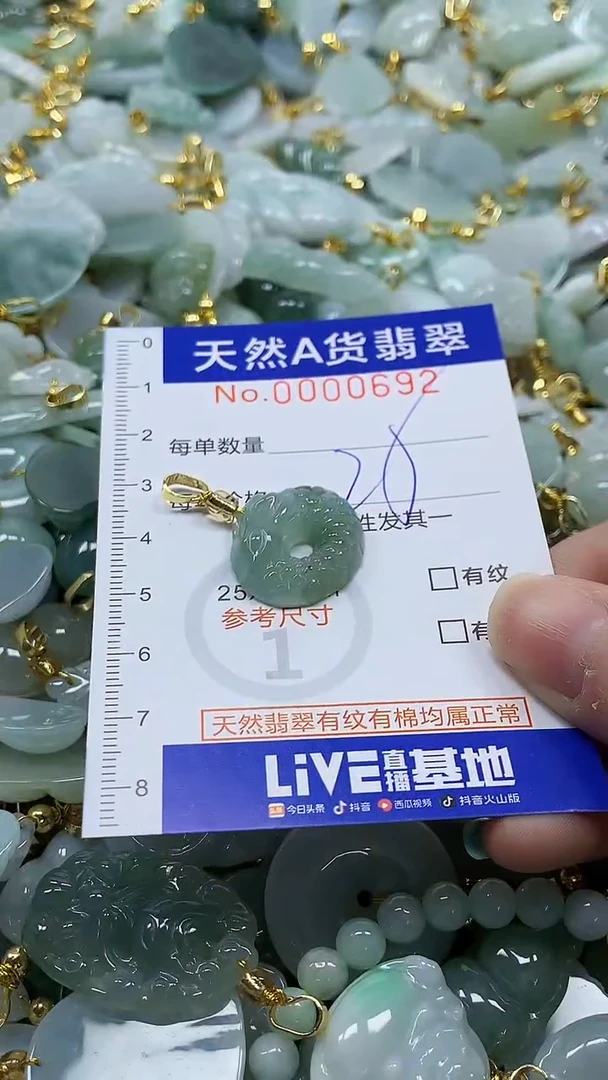 颈饰未镶嵌翡翠纯天然a货翡翠