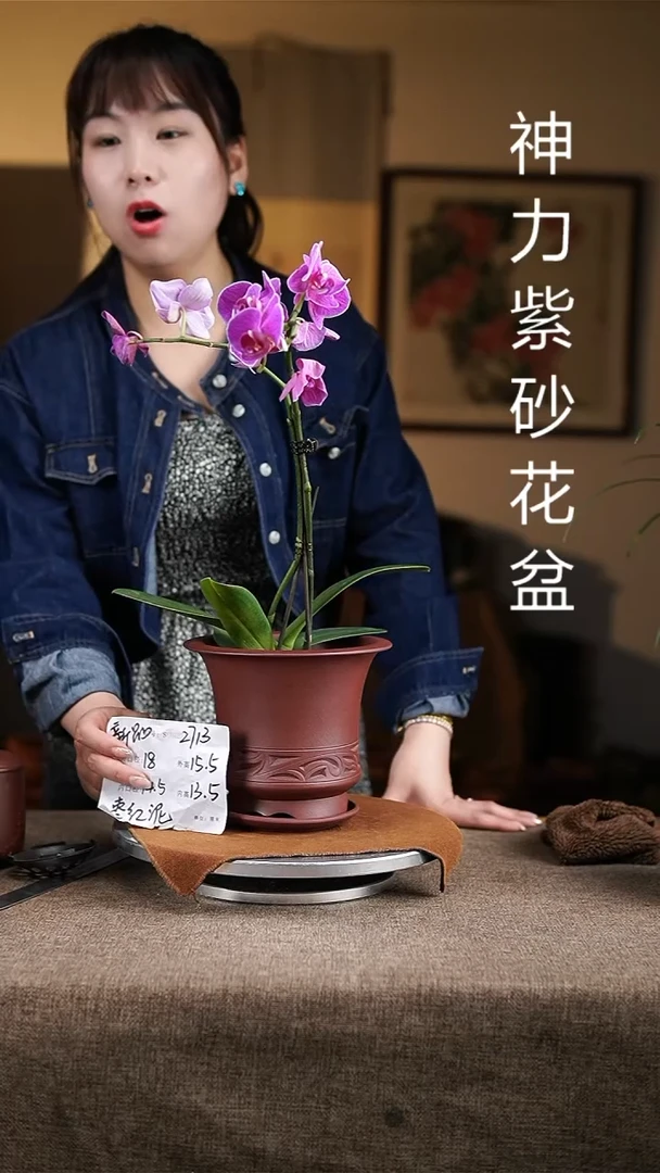 紫砂花盆紫砂花盆2713+z