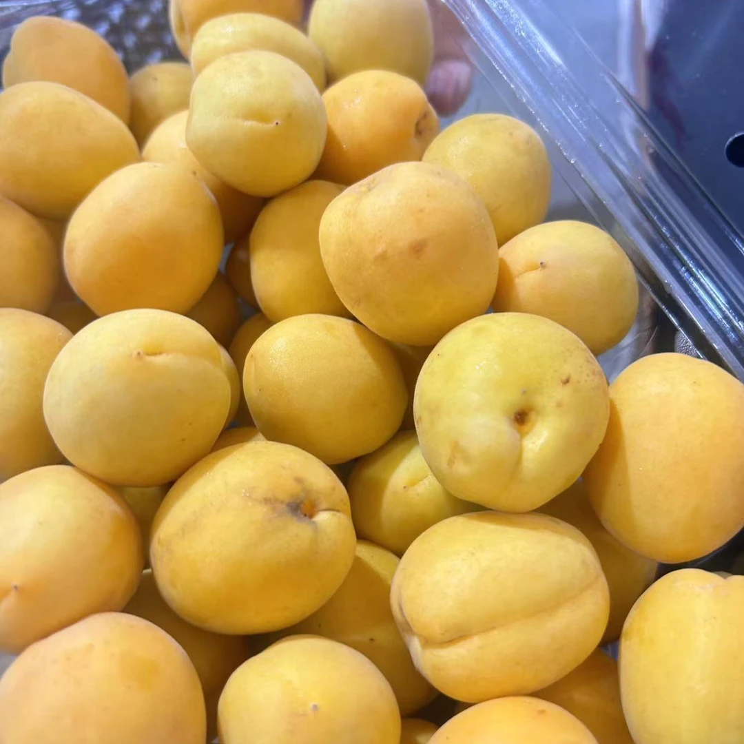 【散装1斤】大黄杏散装1斤