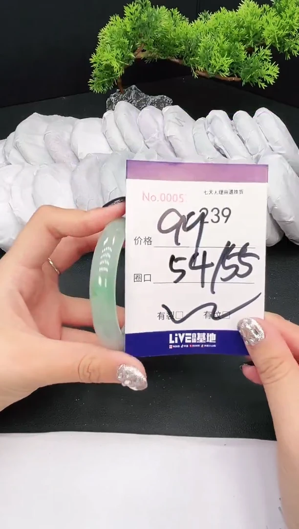 未镶嵌手镯翡翠239