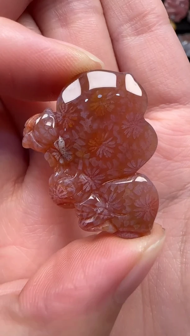 颈饰未镶嵌硅化珊瑚（珊瑚玉）355