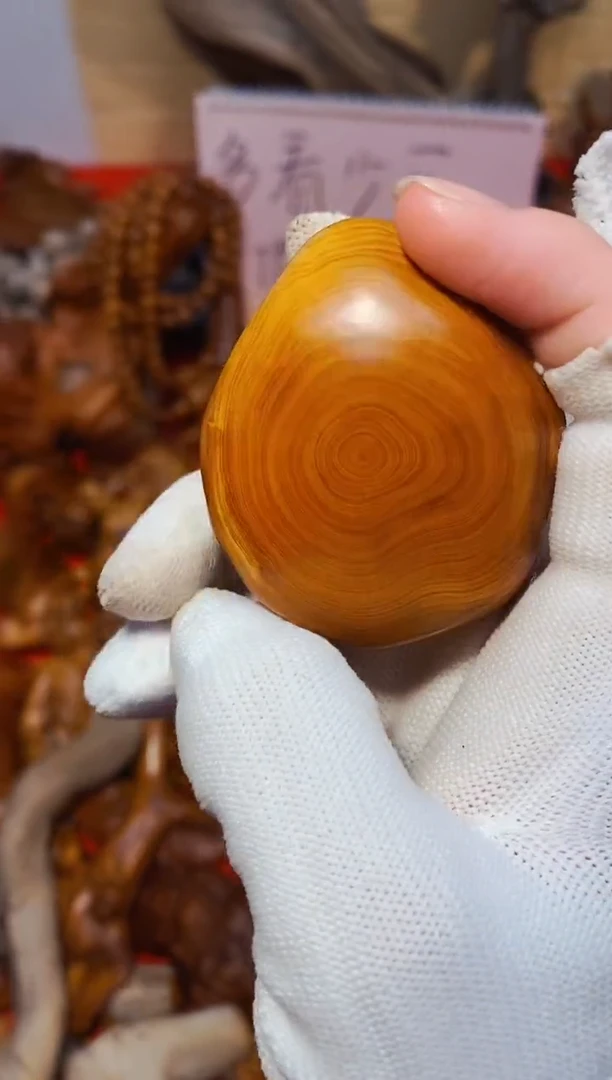 柏木17崖柏崖柏崖柏