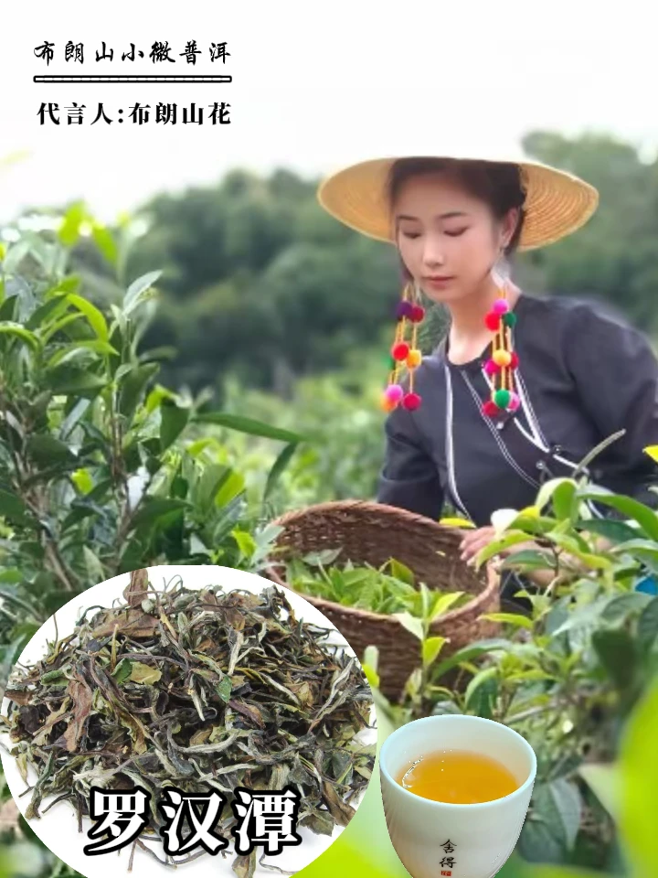罗汉潭*布朗山花的白茶*2025 甜醇温润*健康养生 支持定制压饼
