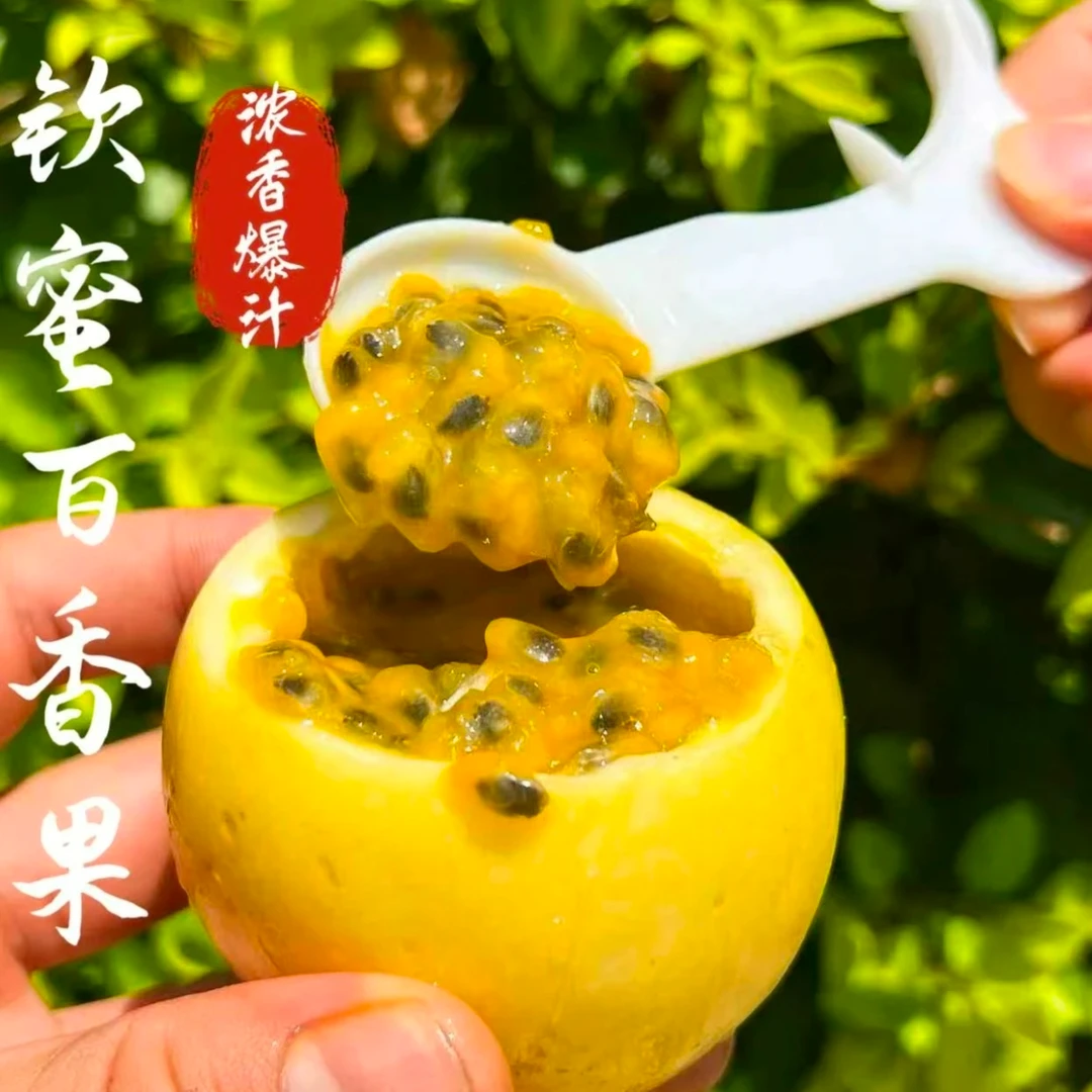 黄金百香果正宗钦蜜9号新鲜香甜多汁孕妇水果优质宝宝辅食