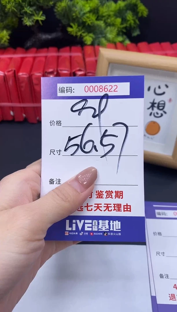 未镶嵌手镯翡翠0008621