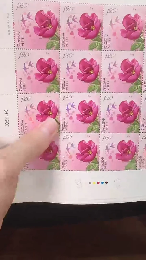 玫瑰花大版票邮票