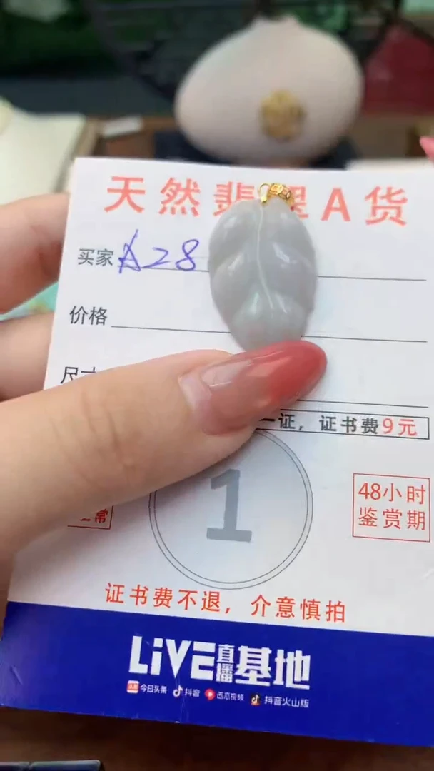 颈饰未镶嵌翡翠天然A货翡翠挂件