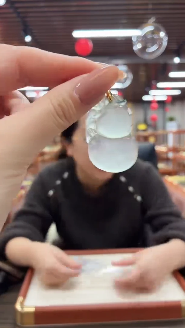 【慧慧甄选】高端轻奢多样性发货RX2454S