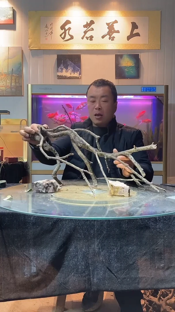 134号天然黄栎木一组长58适合60-70缸