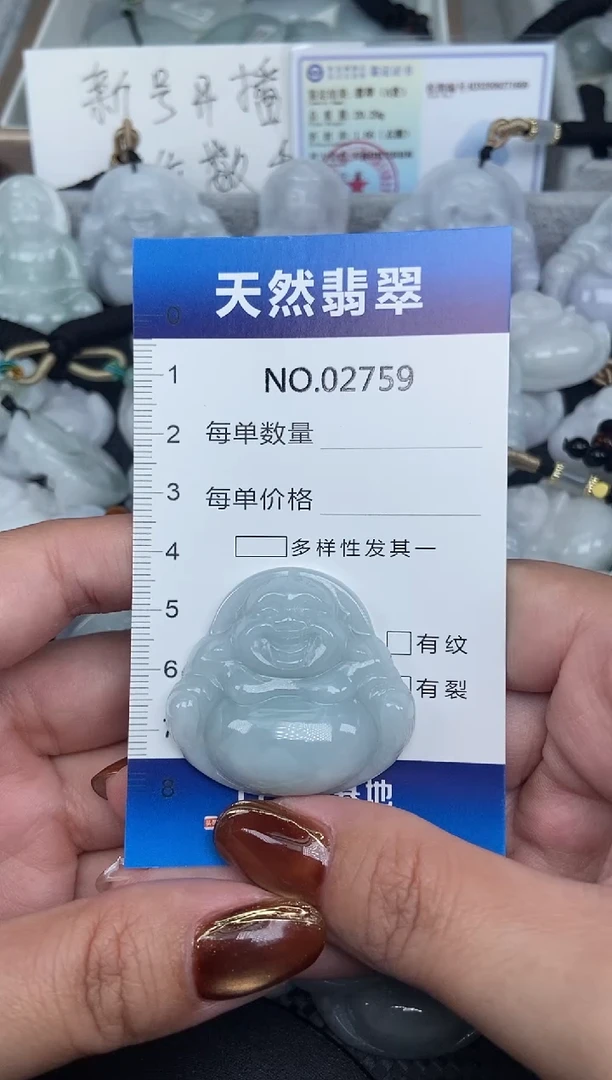 颈饰未镶嵌翡翠纯天然A货翡翠2759