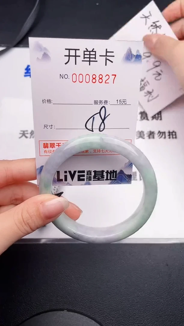 未镶嵌手镯翡翠27