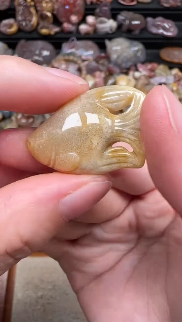 颈饰未镶嵌硅化珊瑚（珊瑚玉）180