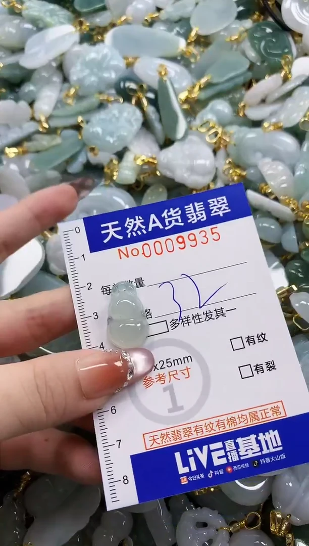 颈饰未镶嵌翡翠Y***o天然A货翡翠