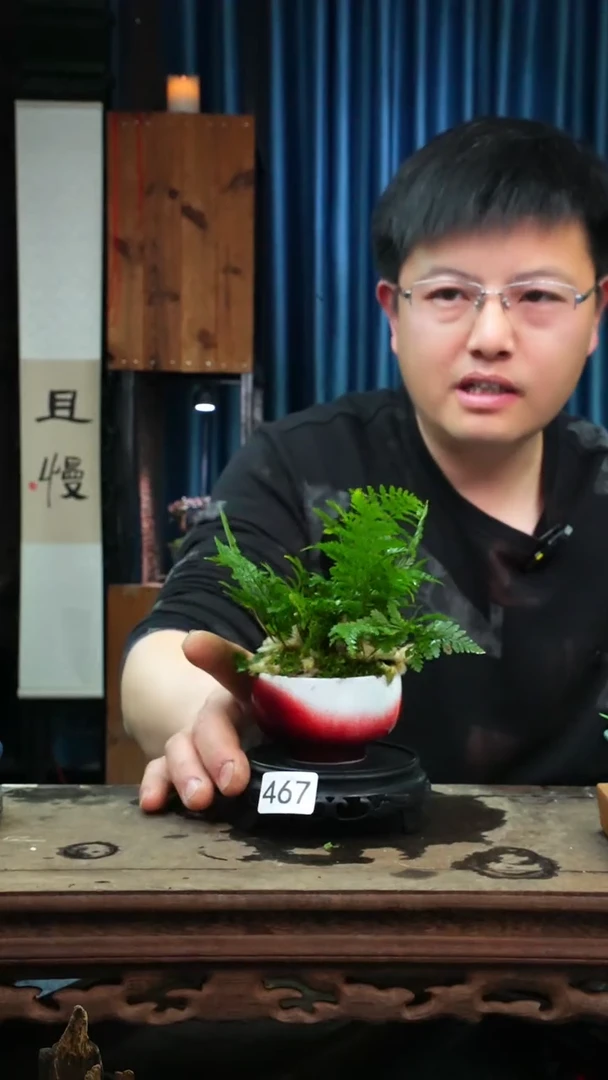 【闪购商品】苔藓微景观467号