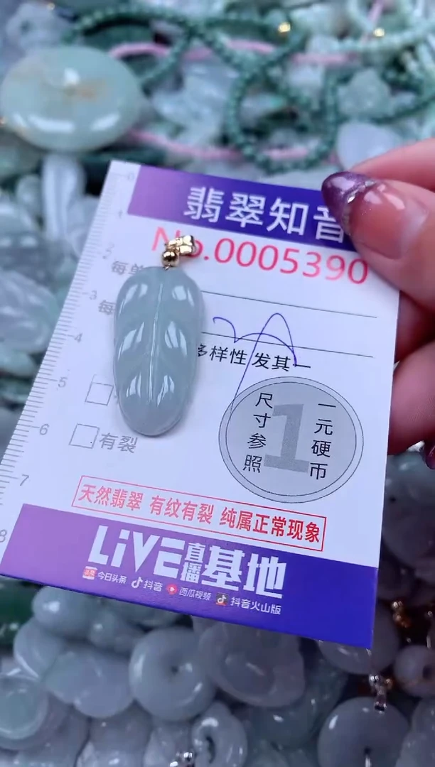 翡翠未镶嵌吊坠(不含链)5390