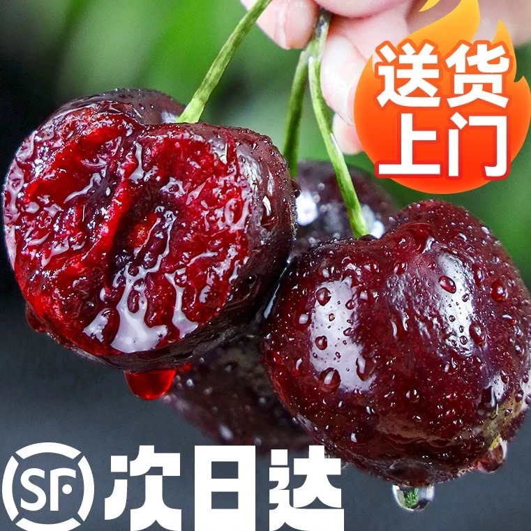【次日达现货现发】DS智利进口空运桑提娜孕妇新鲜水果