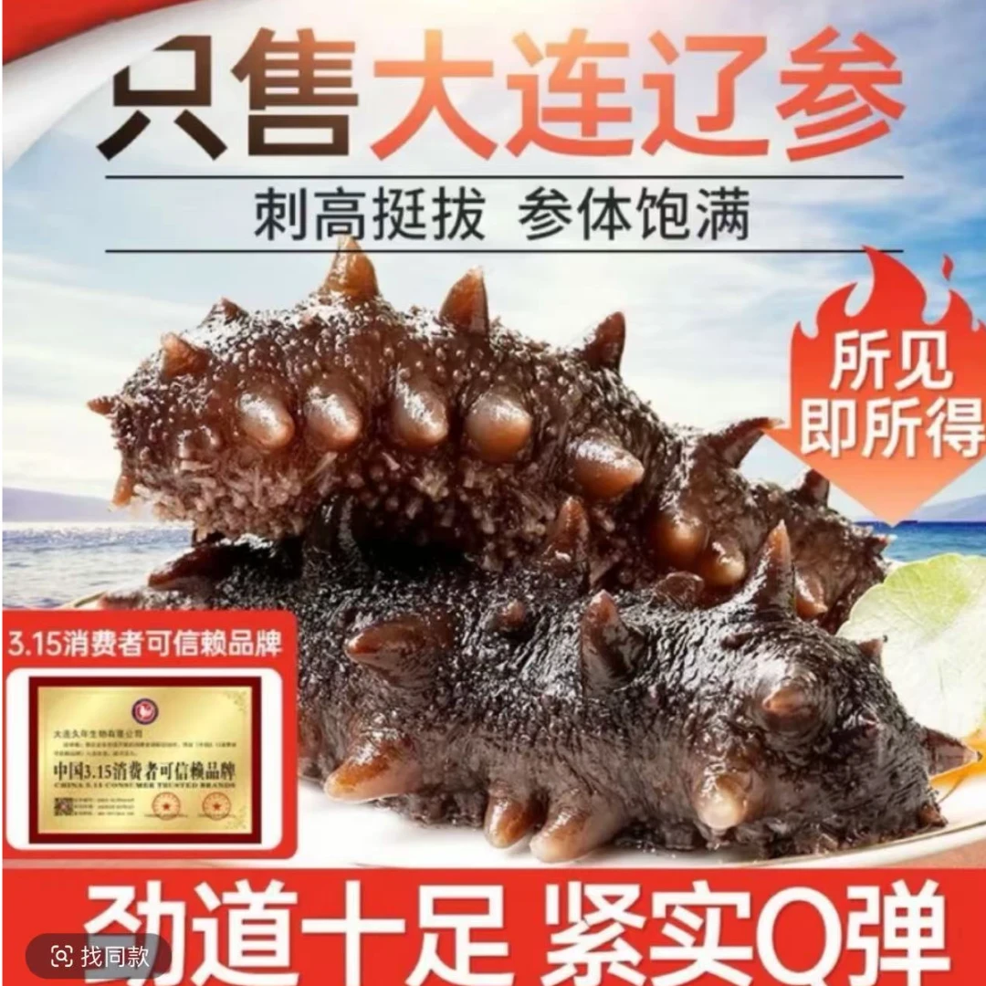 30头大连辽参现场挑货软糯Q弹