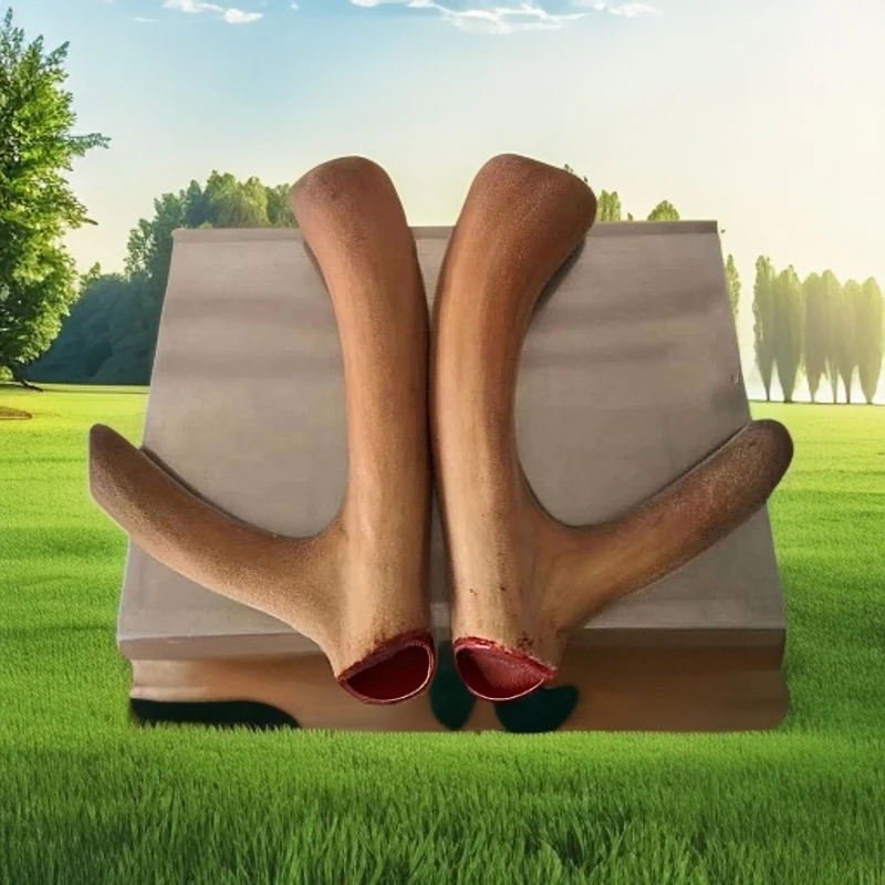 吉林整枝切片可用于泡酒煲汤泡水的滋补好物