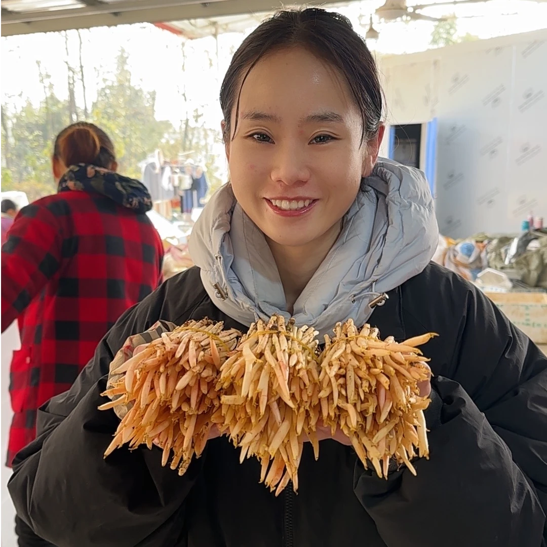 【当天发，明天到】折耳根嫩芽农家新鲜采摘鱼腥草3斤加送半斤嫩叶
