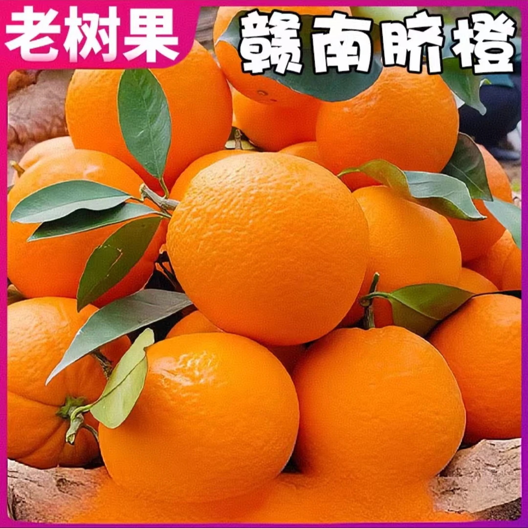 【顺丰次日达包邮】赣南脐橙新鲜应季水果4斤