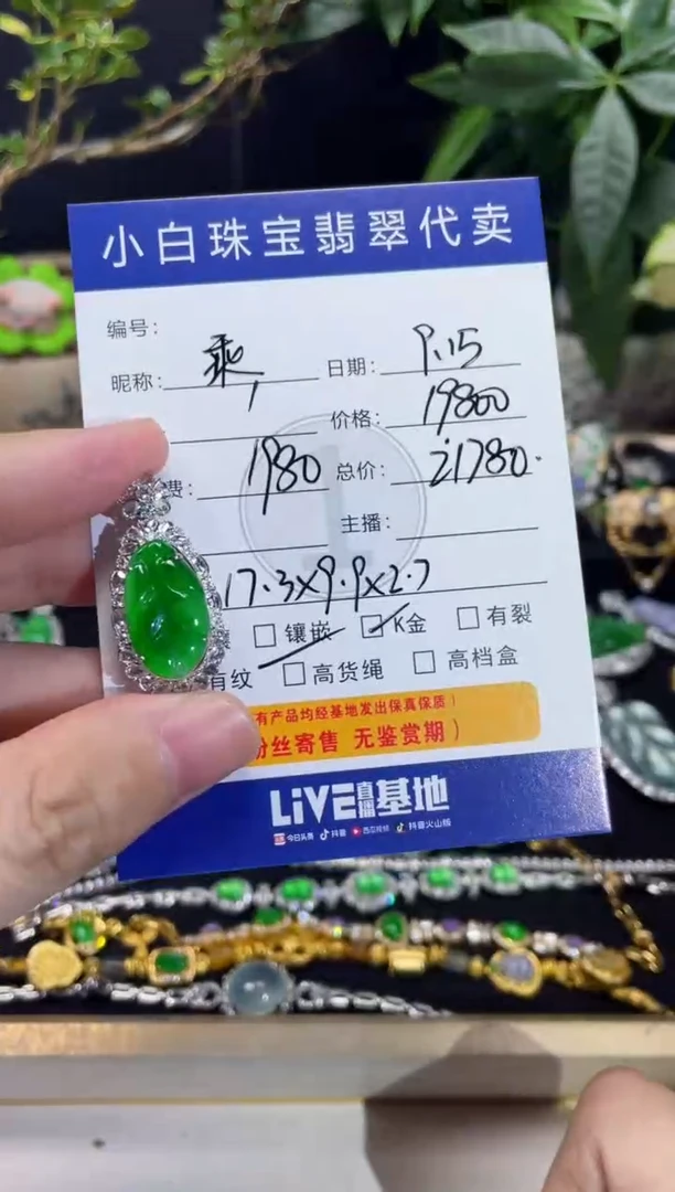 吊坠(不含链)18K金镶嵌翡翠乘***?吊坠