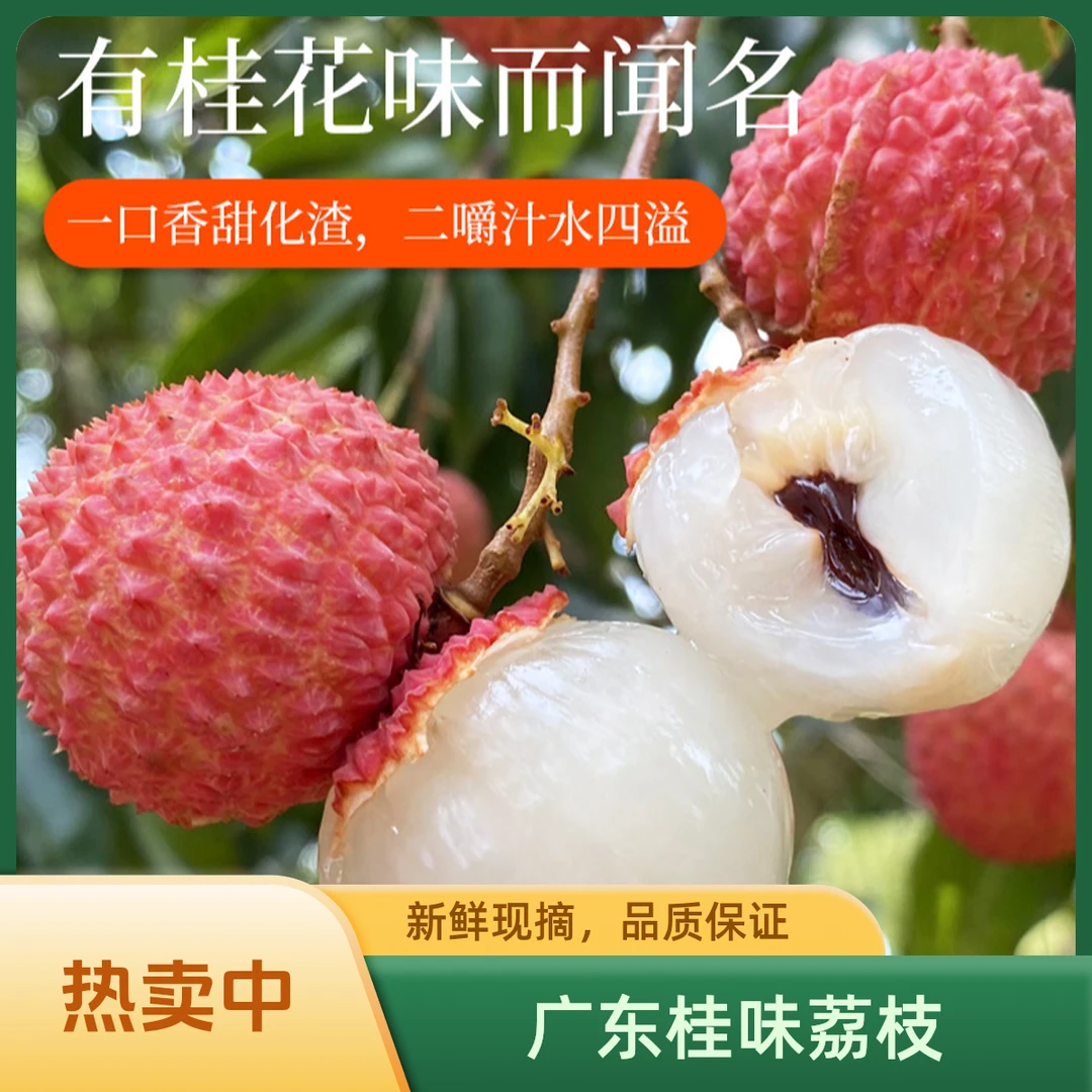 桂味荔枝当季头茬新鲜孕妇新鲜水果老树果王现摘顺丰包邮