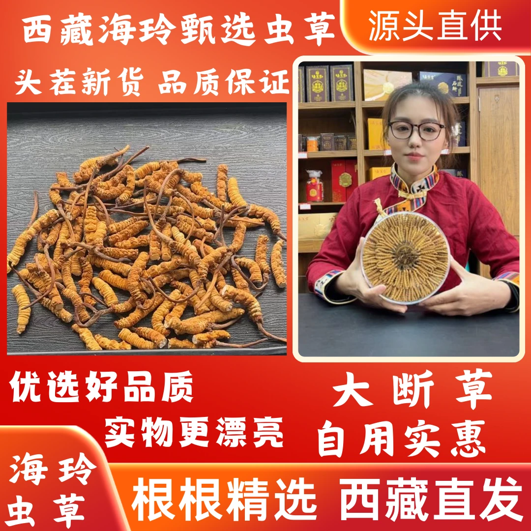 冬虫夏草大断草虫草 中大规格 西藏源头直发 自用经济实惠
