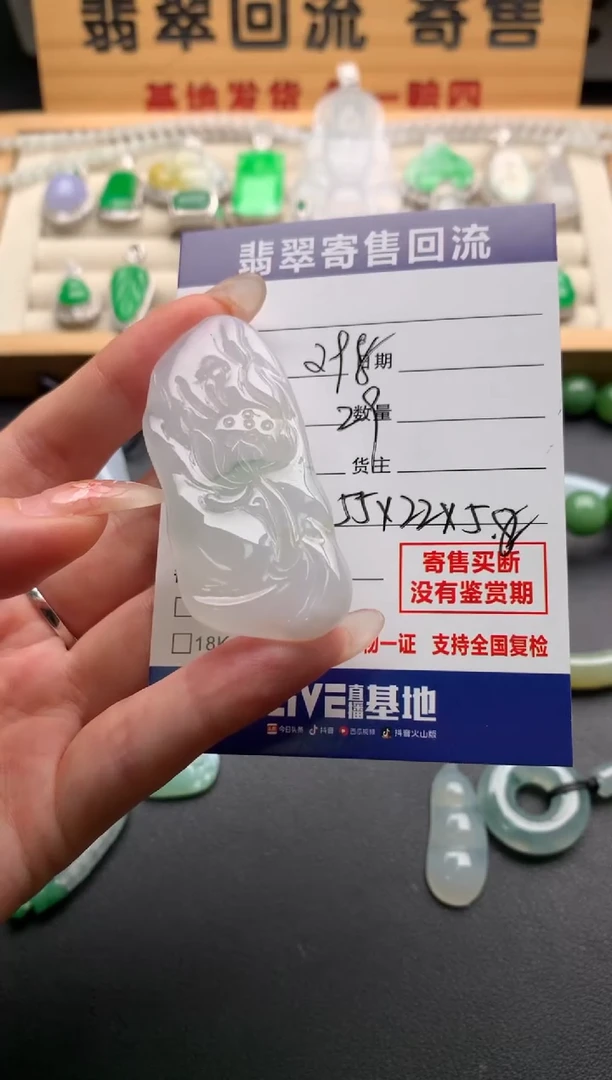 翡翠未镶嵌颈饰10137368