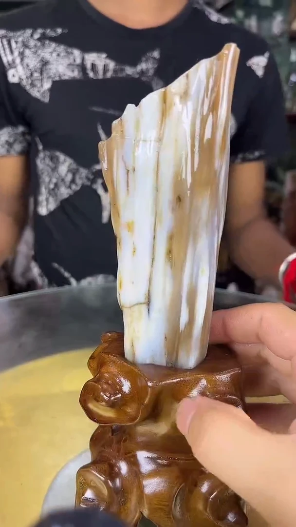 未镶嵌珠宝奇石硅化玉缅甸天然树化玉摆件