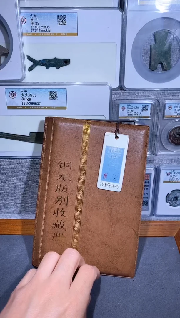 【闪购商品】铜品泉收藏    铜元版别册