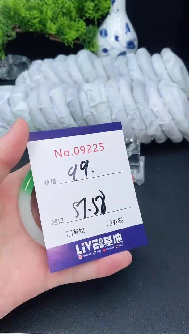 未镶嵌手镯翡翠9225