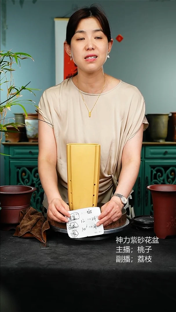 紫砂花盆花卉园艺565