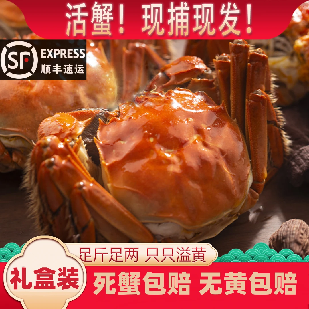 【活蟹】全母蟹3~2.5两10只鲜活江苏大闸蟹