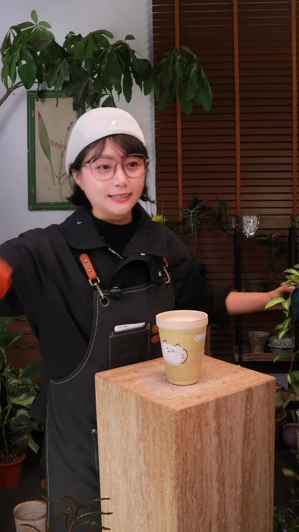 无花朵雪莹长春藤