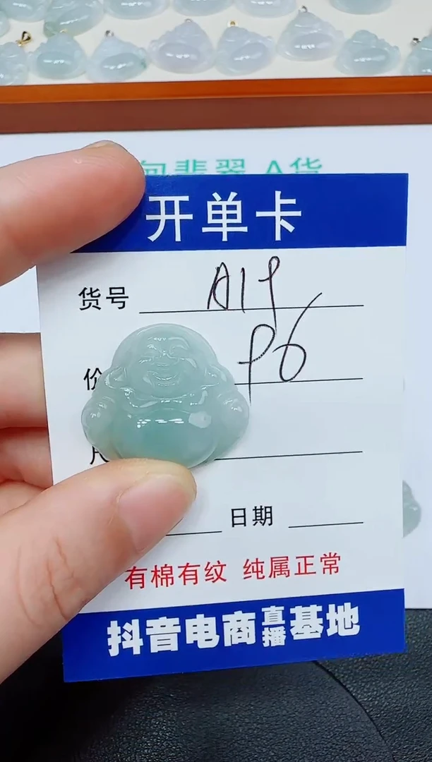 翡翠未镶嵌吊坠(赠链)A19