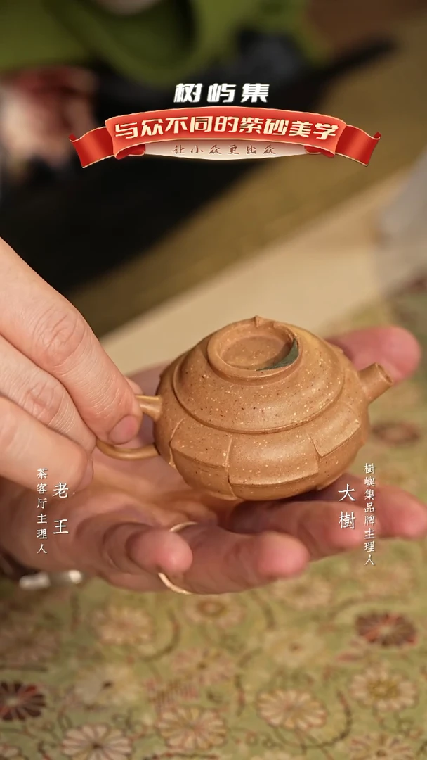 【闪购商品】紫砂茶壶树屿集x五树六花 编竹  65cc