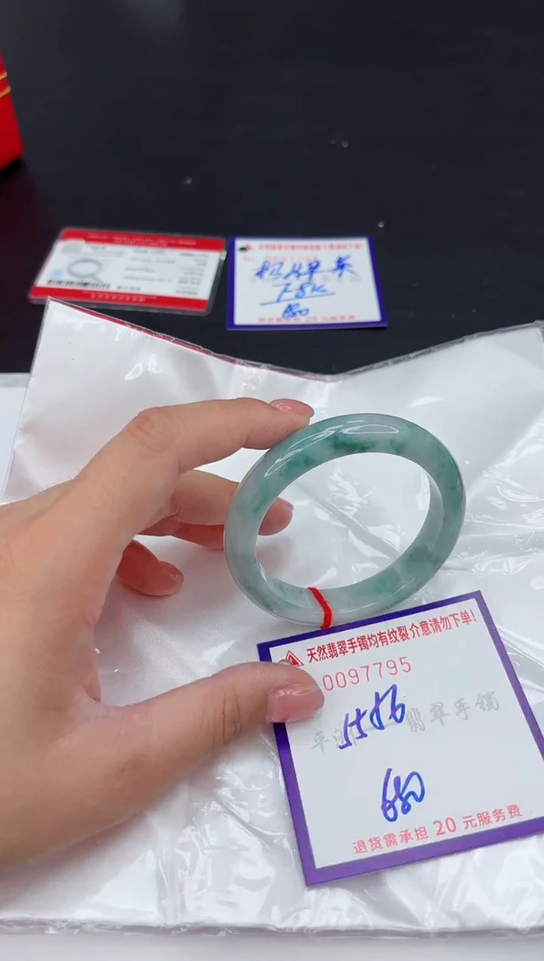 未镶嵌手镯翡翠1