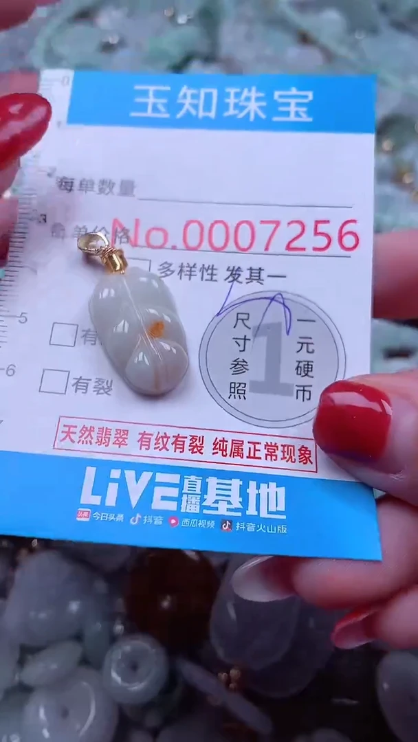 颈饰未镶嵌翡翠7256