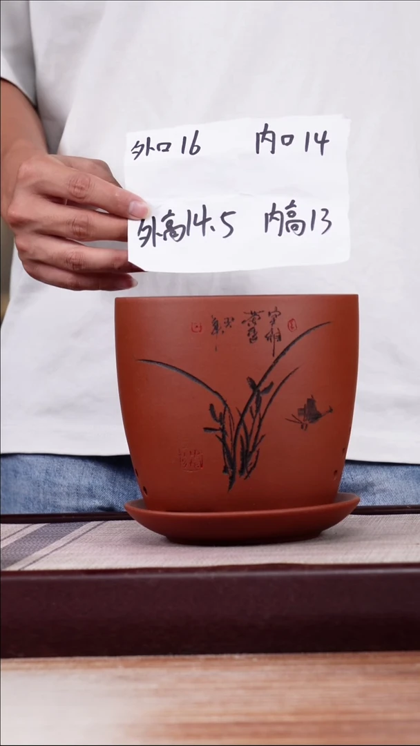 紫砂花盆清水泥君子兰2号一只带托