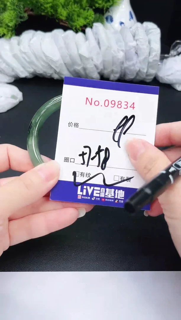 未镶嵌手镯翡翠9834