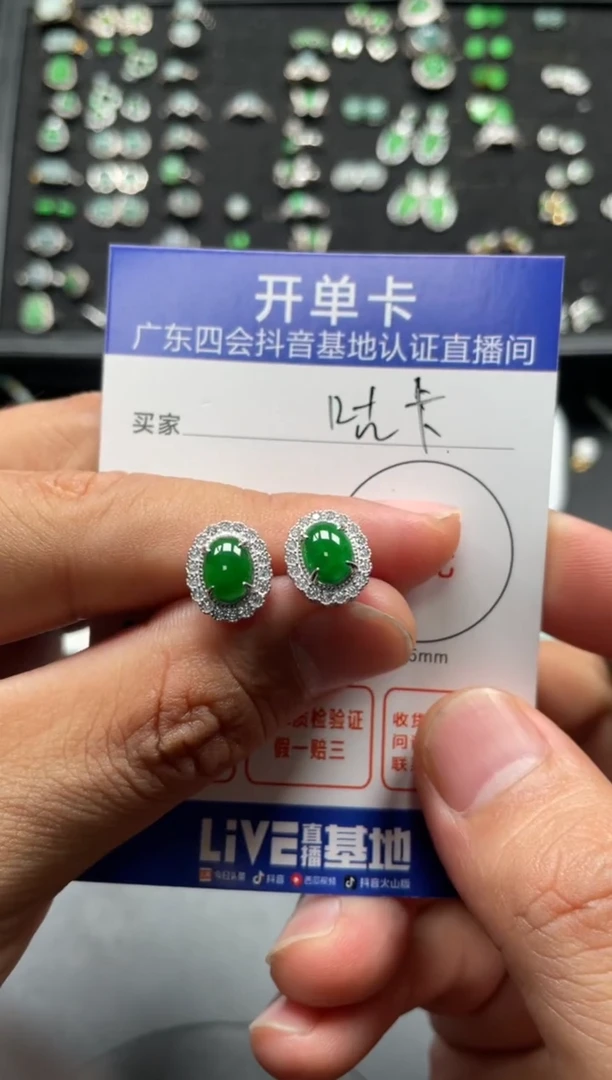 颈饰未镶嵌翡翠咕**卡耳钉