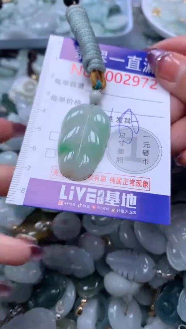 翡翠未镶嵌吊坠(不含链)2972