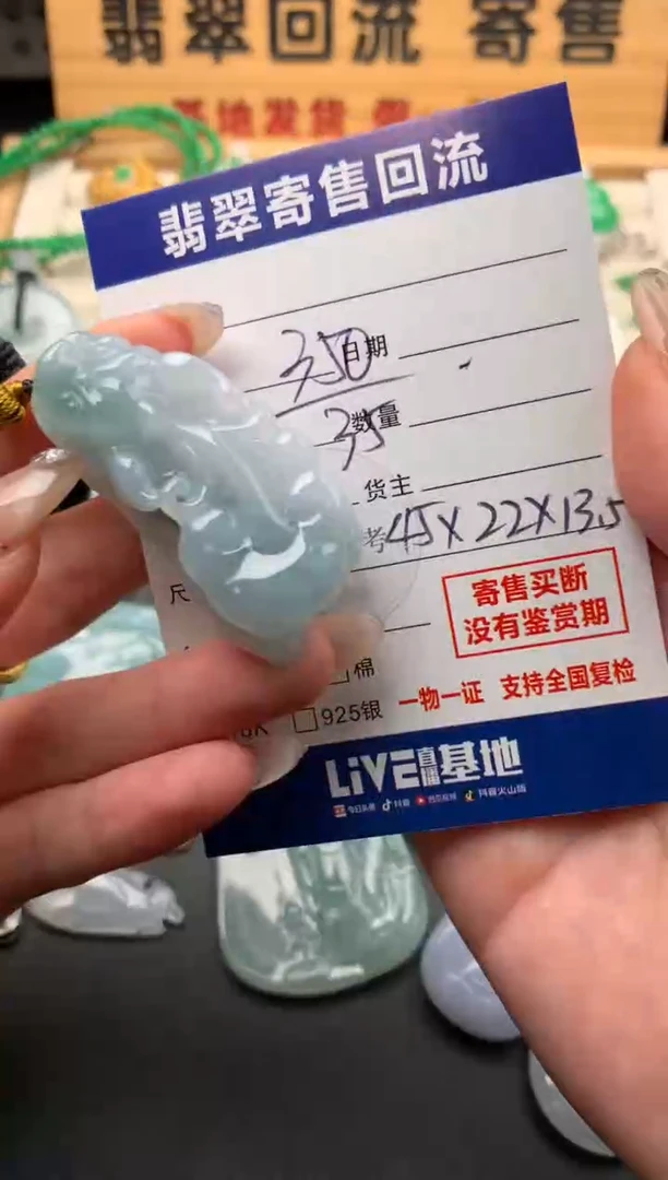 颈饰未镶嵌翡翠10144569