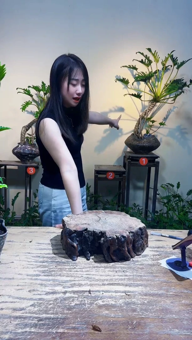 无花朵凌***寶优惠价优惠价688