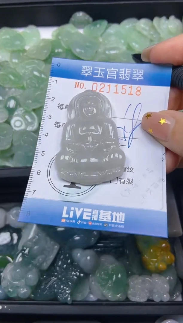 颈饰未镶嵌翡翠闪购C0211518